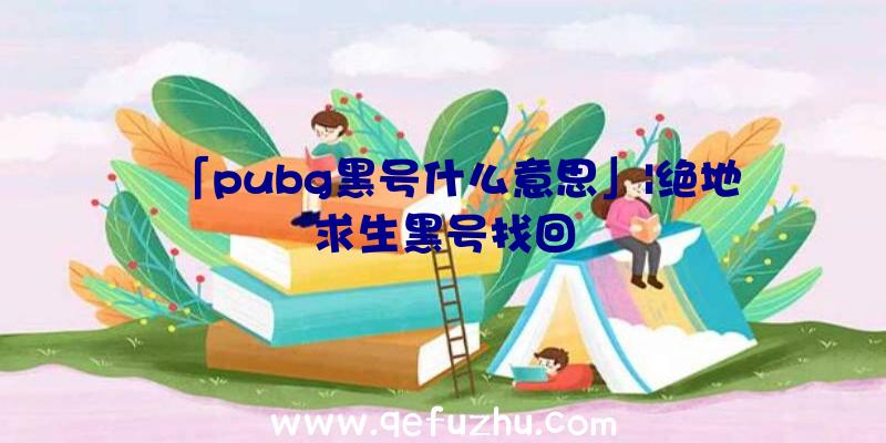 「pubg黑号什么意思」|绝地求生黑号找回